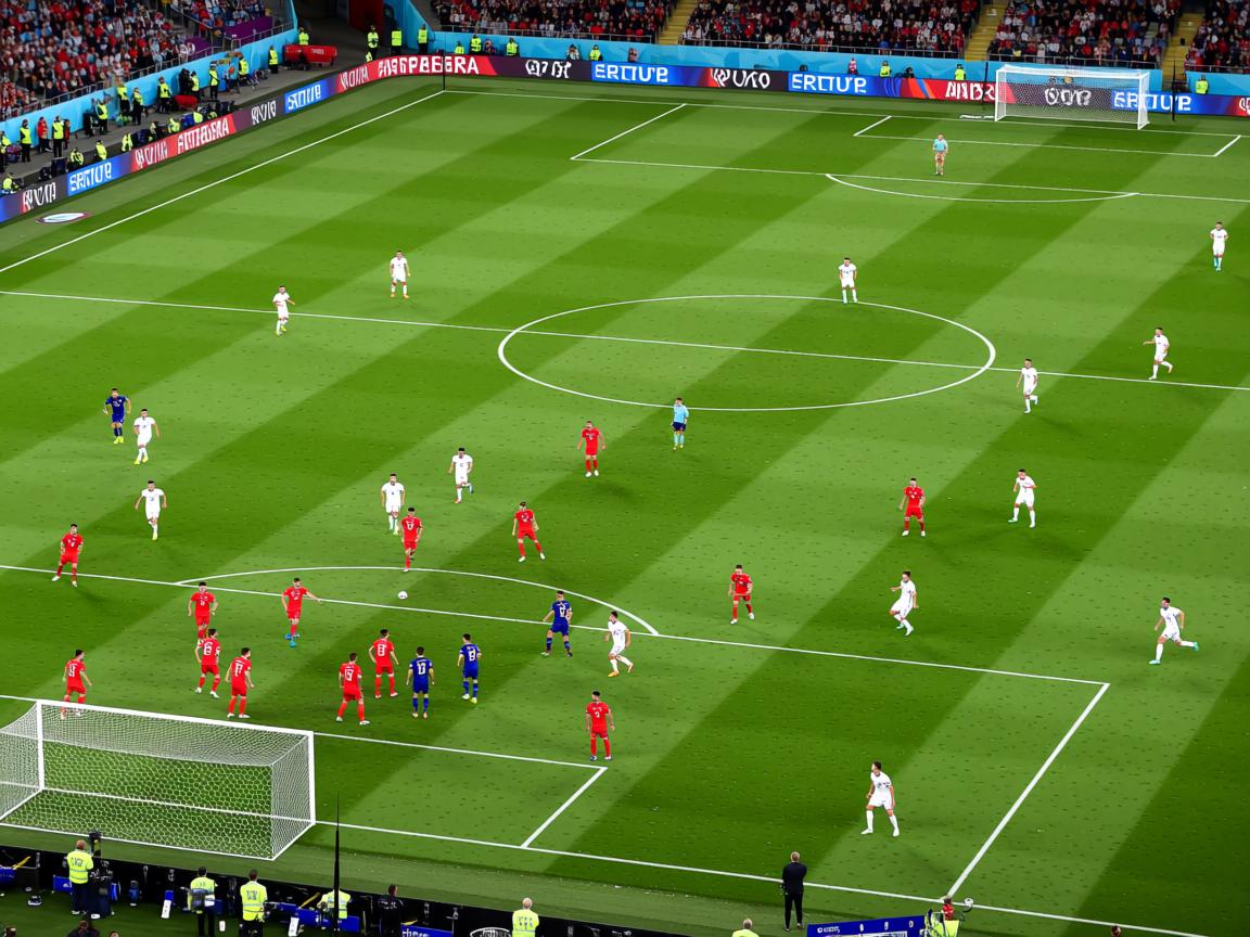 开云体育下载-女子仰泳技术优势持续扩大，女子仰泳技术优势持续扩大的原因