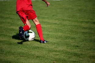 开云体育-国家队战术体系缺乏灵活应变能力，国家队战术体系缺乏灵活应变能力的原因  第2张